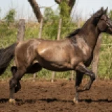 Imagen lote