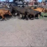 Imagen lote