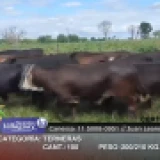 Imagen lote