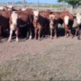 Imagen lote