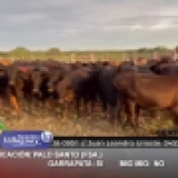 Imagen lote