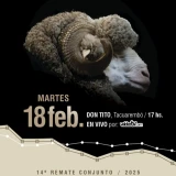 Imagen lote