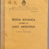 Imagen lote