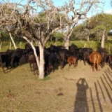 Imagen lote