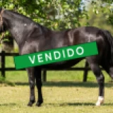 Imagen lote