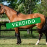 Imagen lote