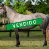 Imagen lote