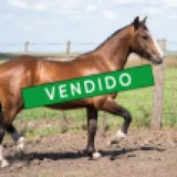 Imagen lote