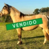 Imagen lote