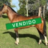 Imagen lote