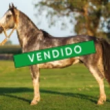 Imagen lote