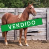 Imagen lote