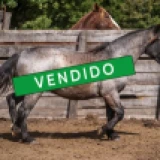 Imagen lote