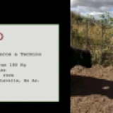 Imagen lote