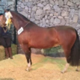Imagen lote