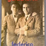 Imagen lote