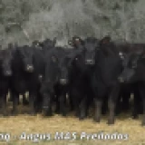 Imagen lote