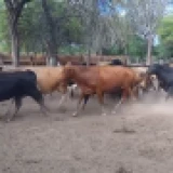 Imagen lote