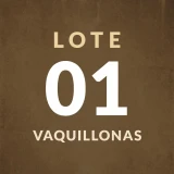 Imagen lote