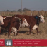 Imagen lote
