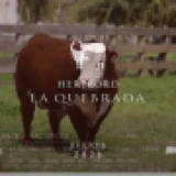 Imagen lote
