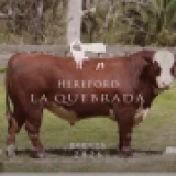Imagen lote