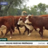 Imagen lote