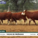 Imagen lote