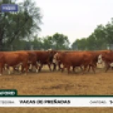 Imagen lote