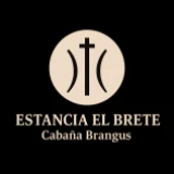 Imagen lote