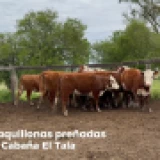 Imagen lote