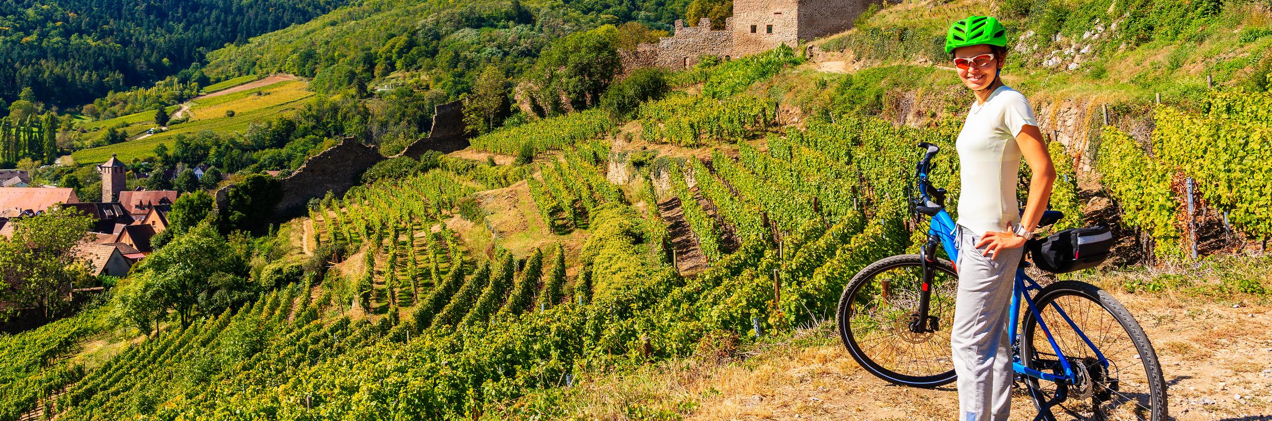 Bike & wine tour