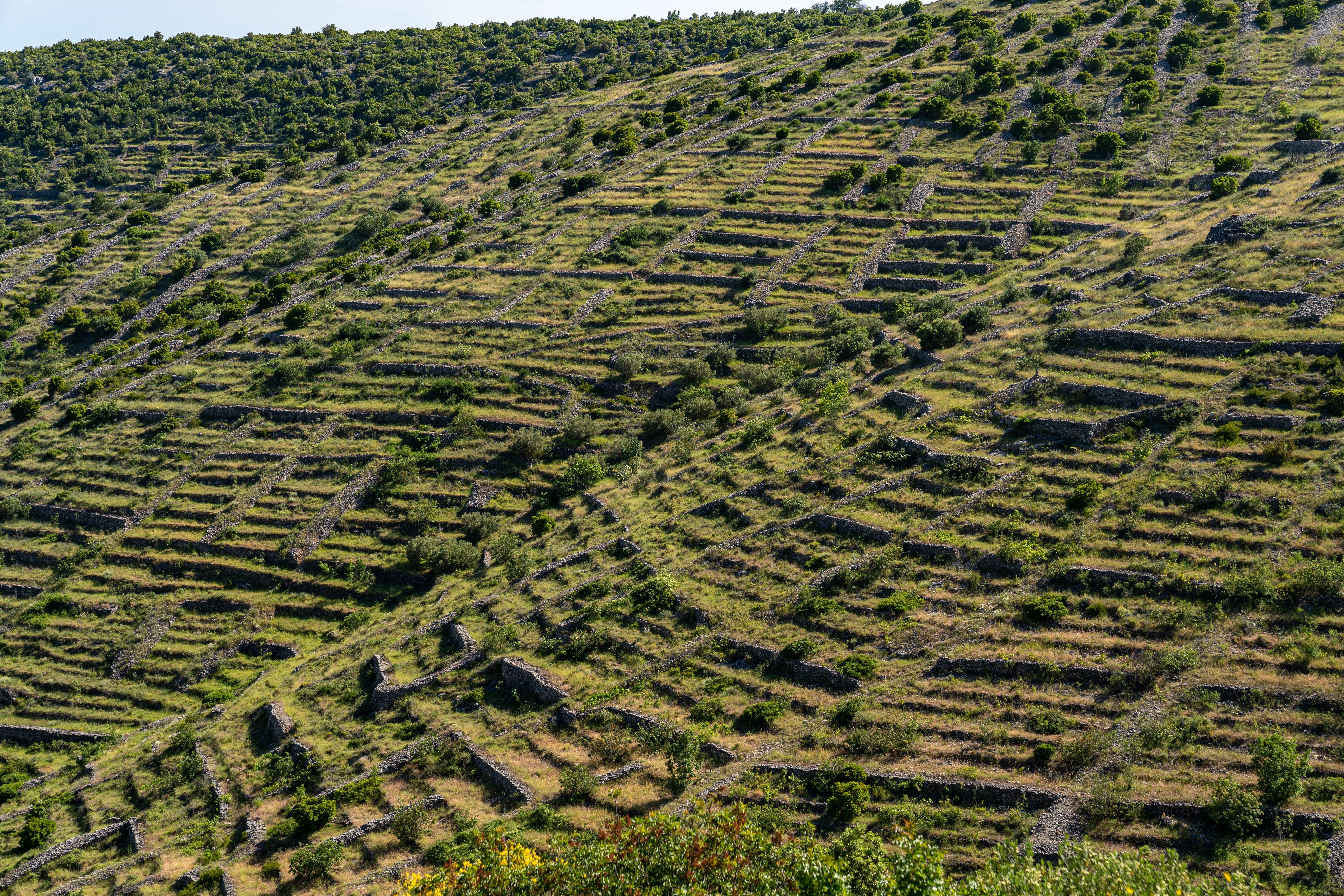 6. LES MURS DE PIERRE