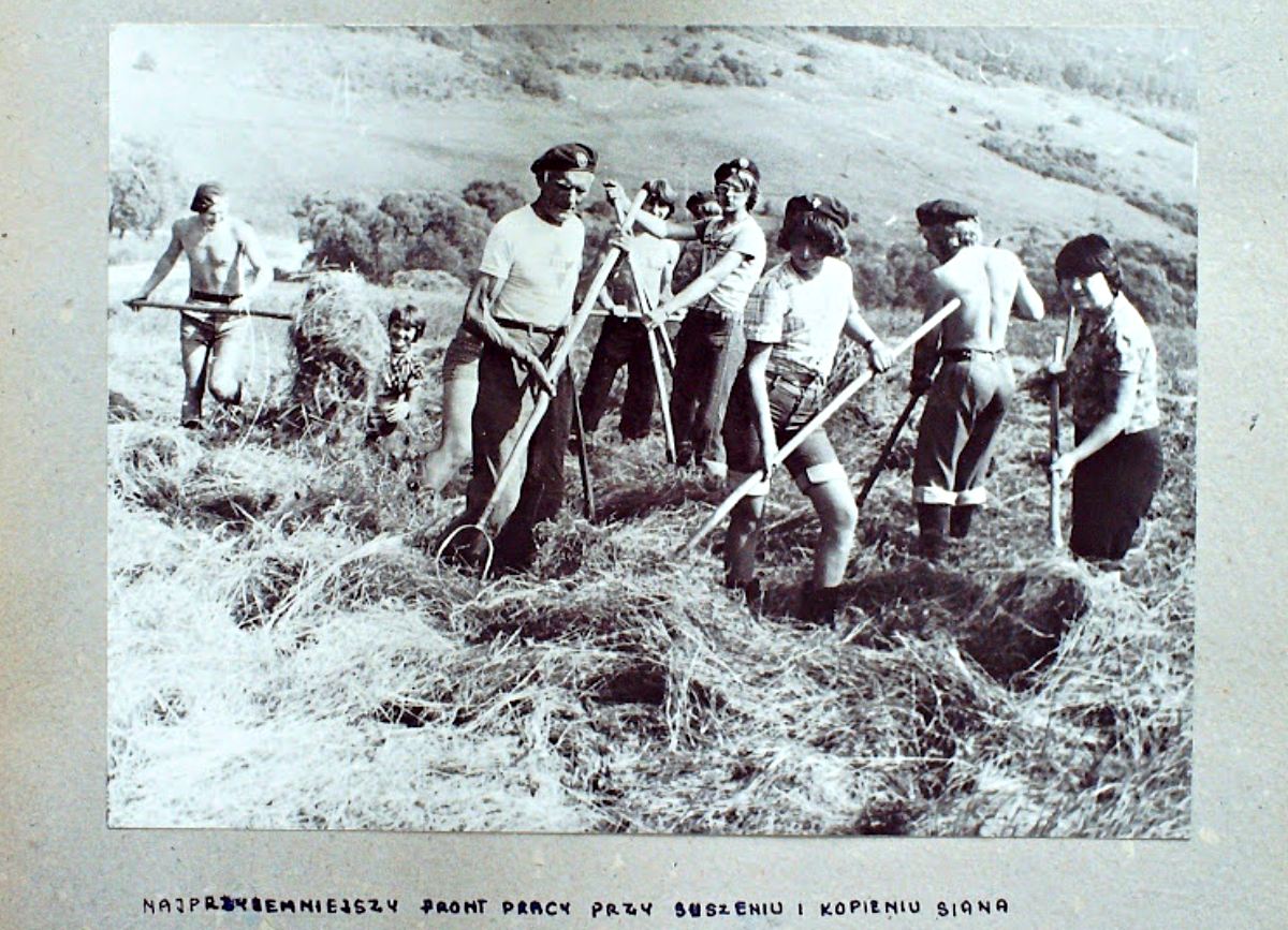 Harcerze przy pracy w polu w Bieszczadach