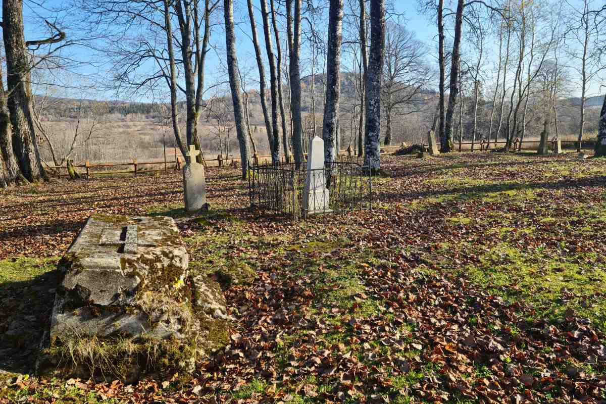 Stary cmentarz otoczony lipami i jesionami w Dźwiniaczu Górnym