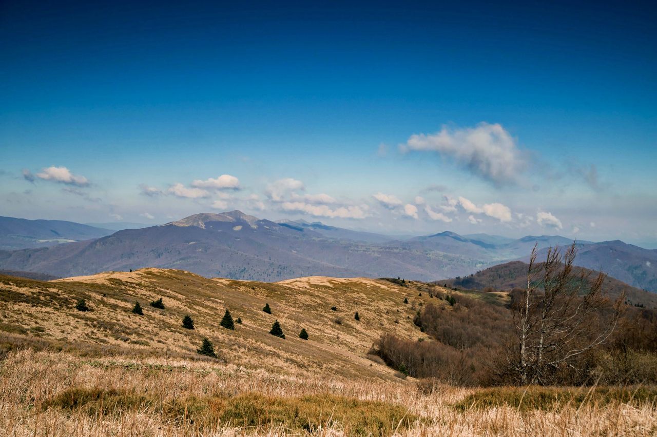 widok z bukowego berda