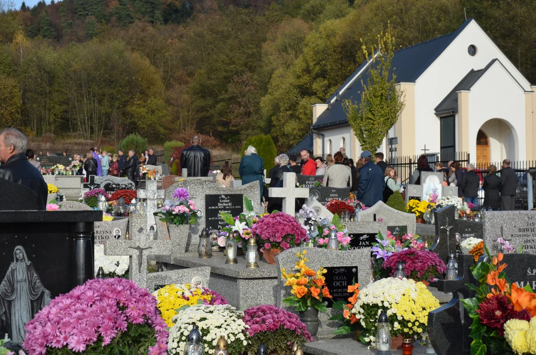 The beautifully situated Olchowiecki Cemetery blooms with a thousand chrysanthemums and candles [ZDJĘCIA] – Sanok