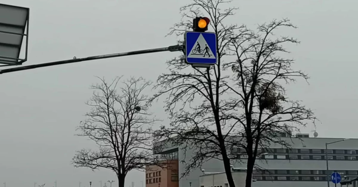 Będą zmiany w organizacji ruchu? Audyt al. Niepodległości i nowe rozwiązania w planach