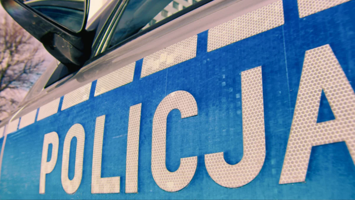 Psy bez smyczy i domy bez numerów. Policja bierze na celownik codzienne problemy