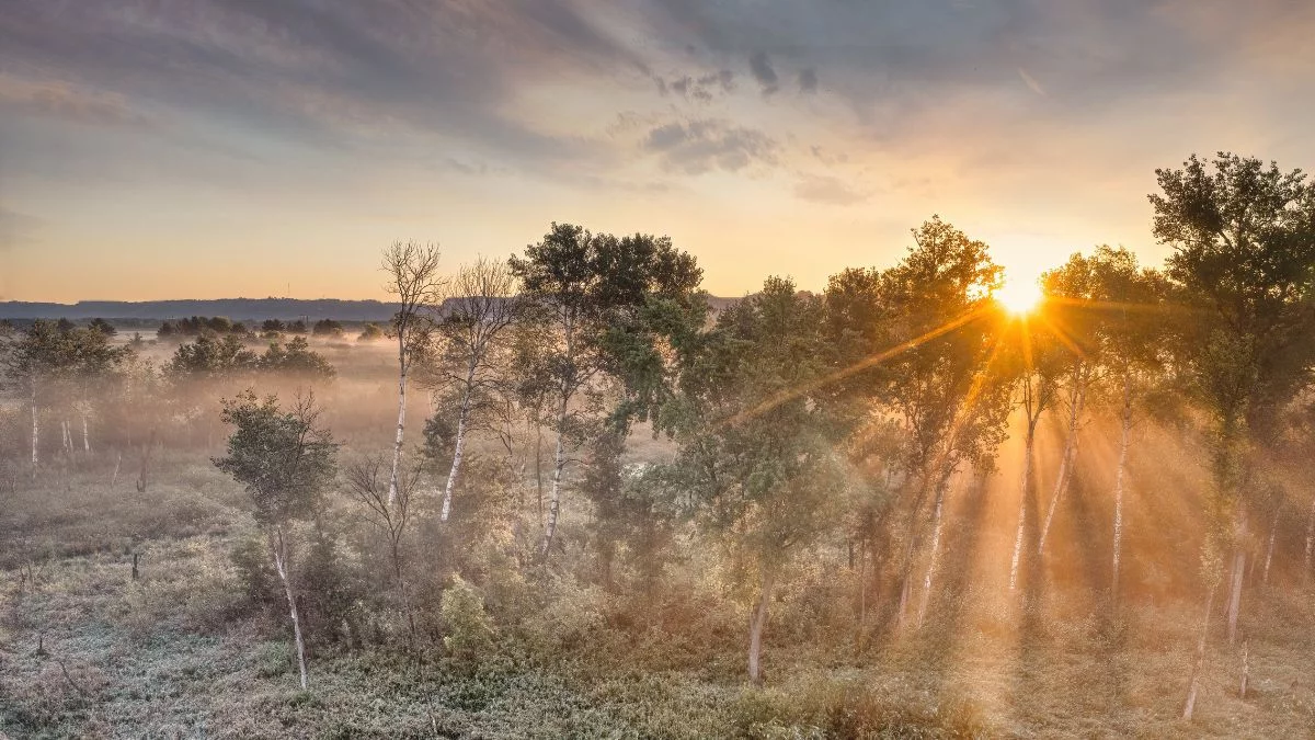 Zaczynamy zyskiwać światło! Jak wydłużają się dni po przesileniu zimowym?