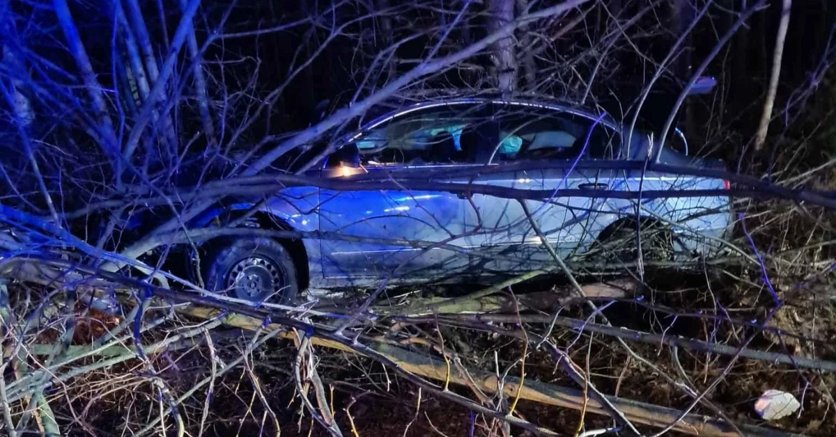 Pijany 22-latek wjechał do rowu w Cmolasie i uciekł. Chwilę później policjanci zapukali do drzwi jego domu