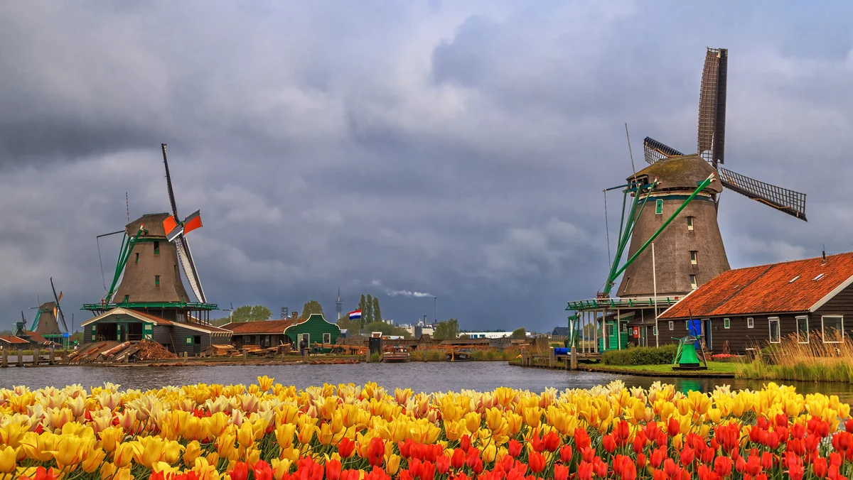 Prawo pracy w Holandii dla Polaków – co warto wiedzieć o umowach, płacach i urlopach?