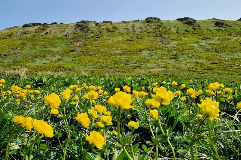 Obrazek do pytania - Tarnica (1346 m n.p.m.), to najwyższy szczyt po polskiej stronie Bieszczadów. Czy wiesz, który szczyt, niższy o 11 metrów jest na drugim miejscu?