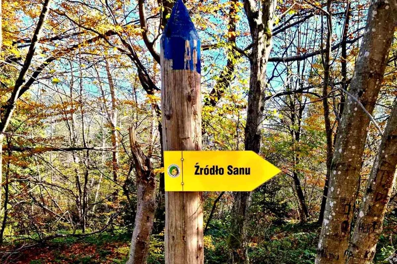 Obrazek do pytania - Do Źródeł Sanu dojedziemy wędrując przez: