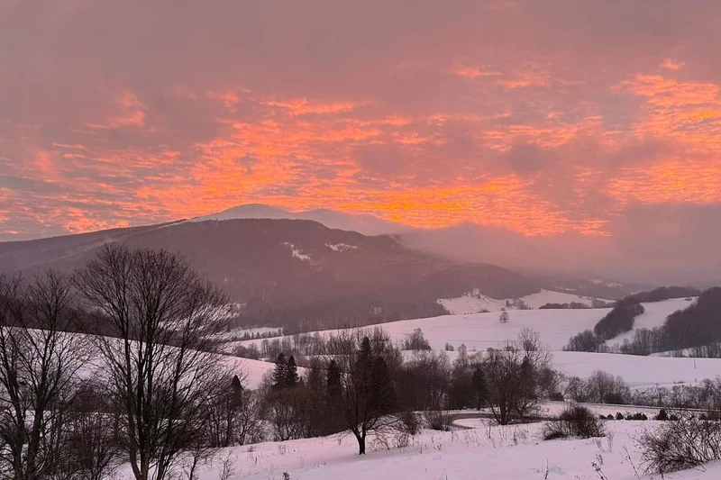 Obrazek do pytania - Większość z nas zna ten widok. A zobaczymy go przystając: