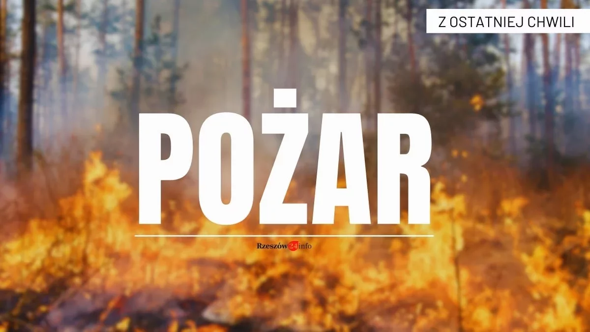 Pożar domu w Rzeszowie. Kłęby dymu nad Drabinianką