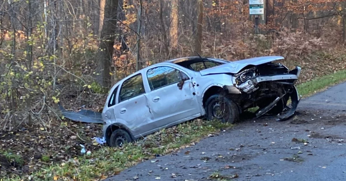 Dachowanie pojazdu w powiecie rzeszowskim. Utrudnienia w ruchu [ZDJĘCIA]