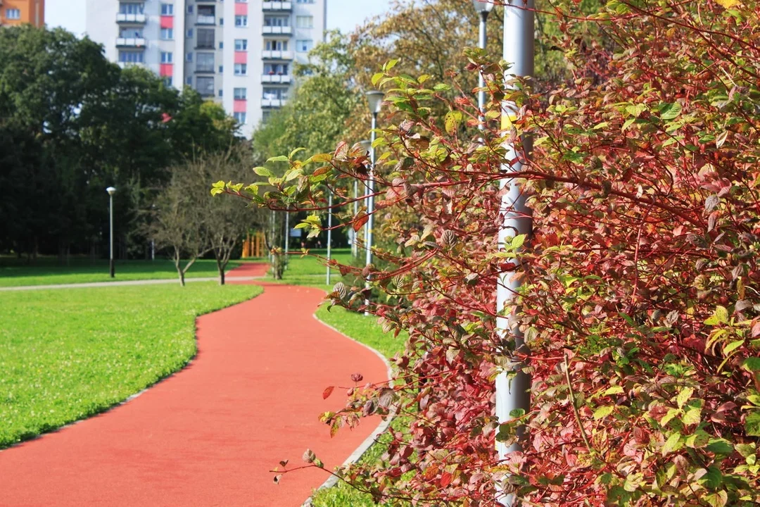 Kobieta wpadła do Wisłoka. Pomogli jej przypadkowi ludzie