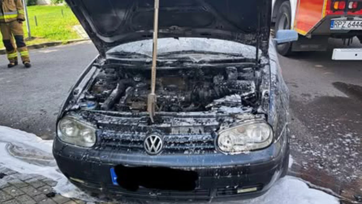 Pożar samochodu w regionie. Doszło do samozapłonu [ZDJĘCIA]