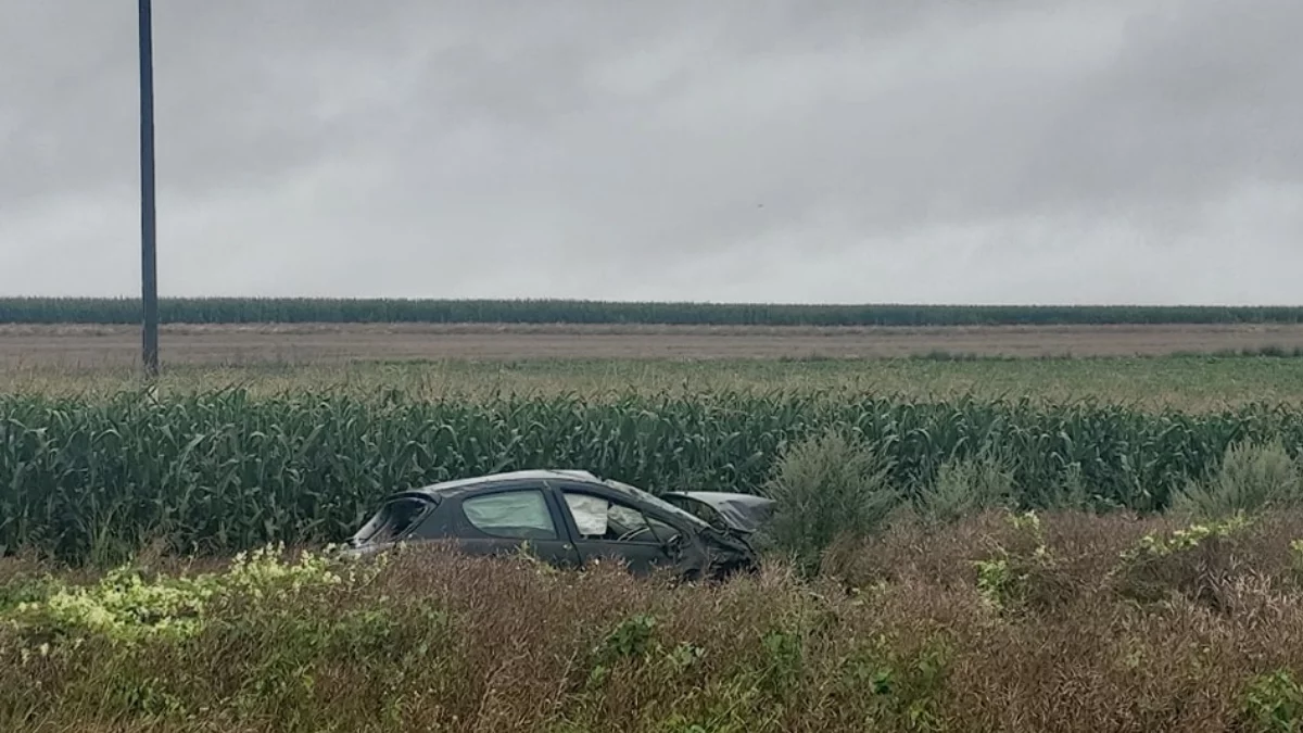 Dachowanie pojazdu w regionie. Jedna osoba trafiła do szpitala [ZDJĘCIA]